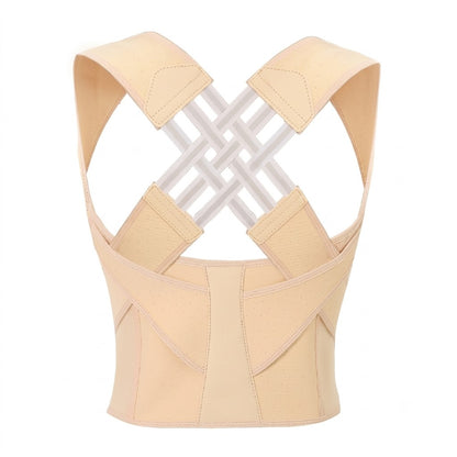 Haven Back Support Belt