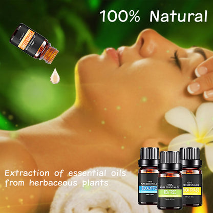 Organic Essential Oils Set