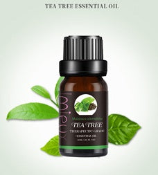 Pure Essential Oil for Relaxation & Wellness