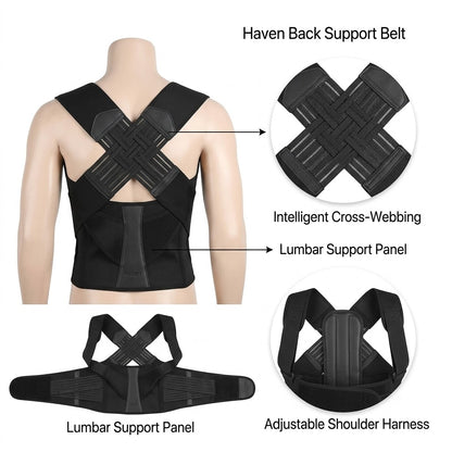 Haven Back Support Belt