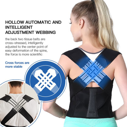 Essential Haven Back Support Belt