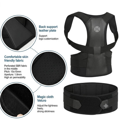Haven Back Support Belt