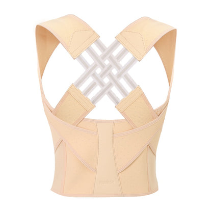 Essential Haven Back Support Belt